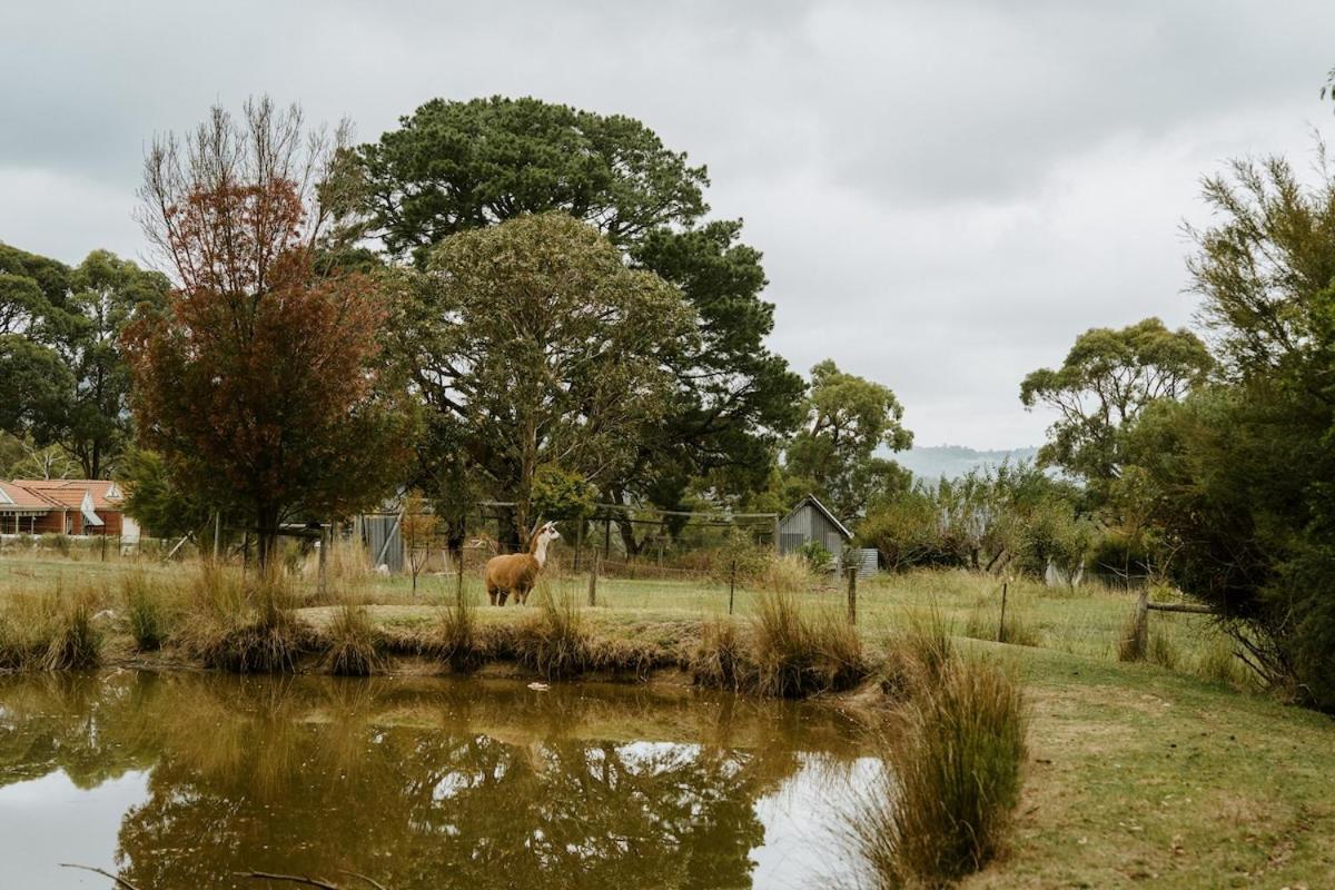 Launching Place The Temple - Country Farm Retreatヴィラ エクステリア 写真