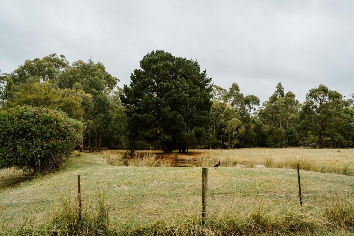 Launching Place The Temple - Country Farm Retreatヴィラ エクステリア 写真