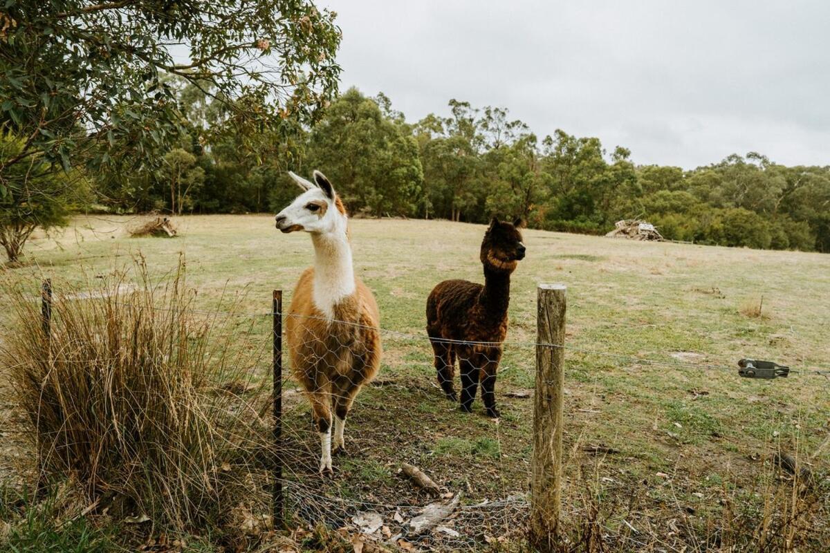 Launching Place The Temple - Country Farm Retreatヴィラ エクステリア 写真