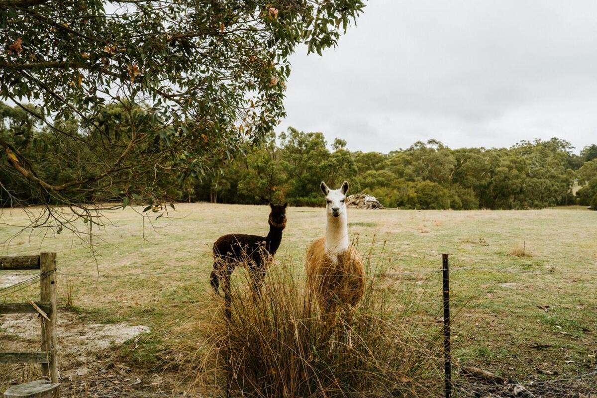 Launching Place The Temple - Country Farm Retreatヴィラ エクステリア 写真